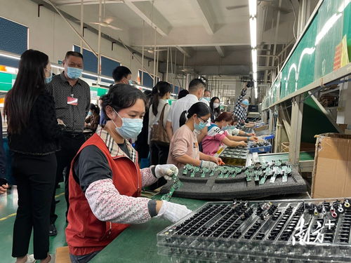 家門口學(xué)技能 就好業(yè)——中山持續(xù)派發(fā)就業(yè)服務(wù)大禮包，信息技術(shù)咨詢服務(wù)成亮點